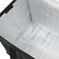 Sac isotherme en TPU avec fermeture éclair, imperméable, pour le camping, les pique-niques, les voyages, les événements en plein air, personnalisable OEM