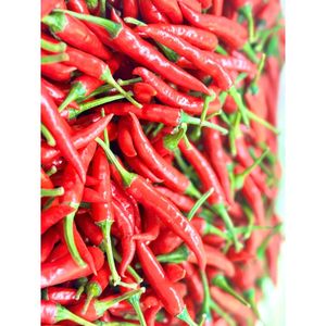 Chili frais de qualité supérieure du Vietnam disponible avec un emballage sur mesure et un support d'usine - Product Image 3