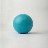 Mini Pelota de Pilates de 20/25/30 cm, PVC Suave, Resistente a Explosiones, para Entrenamiento de Core, Fitness, Yoga, Fisioterapia, No Tóxica, EN71, REACH