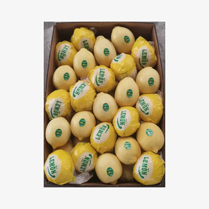 Limones Maduros Premium, Cítricos Frescos y Jugosos, Cosecha Natural, Suministro al por Mayor, Exportadores - Product Image 3