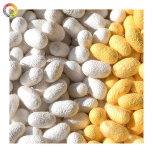 ปลอกรังไหมไหมธรรมชาติสะอาดสำหรับทำมือ DIY สำหรับตกแต่งงานฝีมือและจัดแสดงงานศิลปะ - Product Image 1