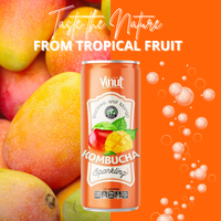 Boisson gazeuse au thé noir frais Kombucha 250 ml fabriquée au Vietnam, marque Vinut, saveur Pamplemousse et Miel (en conserve)