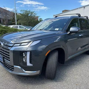 LIMPIO 2023 Hy-u-n-dai Palis-a-de Calli-graphy AWD - Product Image 1