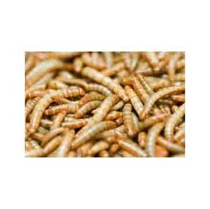 Vers de farine séchés/vers de farine pour l'alimentation animale des volailles