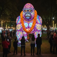 Decoración Interactiva de Faroles para Parques de Atracciones, para el Día de Muertos en México, Uso Interior/Exterior, Espectáculo de Luces para Parques Temáticos