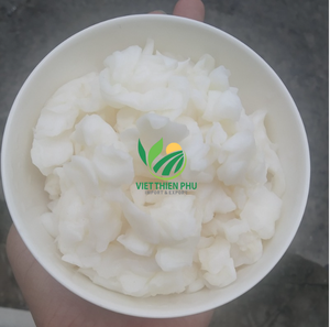 Nata De Coco brut de qualité supérieure-Emballage en vrac fruité compressé de haute qualité-Certifié HACCP/ISO-Marque VIET THIEN PHU - Product Image 4