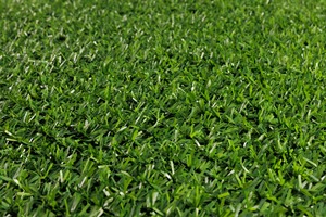 ขายร้อน 2024 หญ้าเทียมรั้วเชื่อมโยงโซ่เพื่อความเป็นส่วนตัวสําหรับสวนของคุณรั้วความเป็นส่วนตัวม้วน - Product Image 4