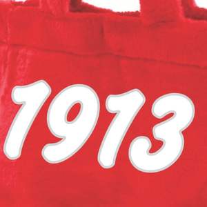 Borsa Tote di pelliccia Delta confraternita greca DST nera con lettere ricamate bianche rosse 1913 peluche borsa regalo di confraternita di vita greca - Product Image 3