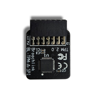 Module TPM ASUS, puce TPM 2.0, interface SPI 14 broches, module de plateforme sécurisée, module TPM 2.0 pour carte mère ASUS, mise à niveau PC