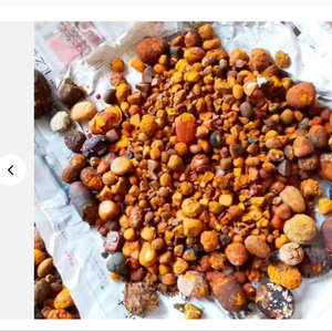 Highly Demanded Natural <b>Cow</b> / Ox Gallstone - Product Image 1