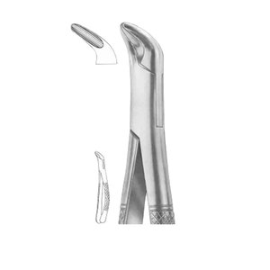 Pince d'extraction dentaire en acier inoxydable Dents inférieures pour enfants Pinces Instruments de haute qualité pour enfants et adultes - Product Image 6