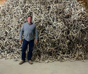 เขากวางแดงเขากวางและเขากวางเป็นอาหาร100% เขากวางคุณภาพสูงสำหรับขายจากสหรัฐอเมริกา - Product Image 4