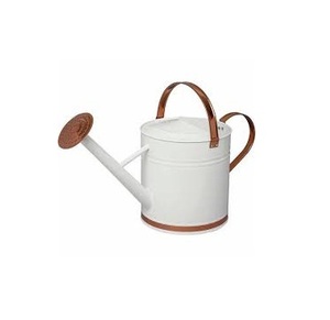 Regadera de Metal personalizada, fabricante y distribuidor superior de India B, nuevo diseño - Product Image 1