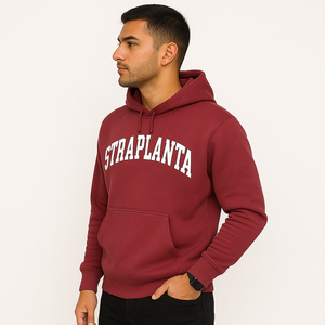 Precio barato Venta caliente Color personalizado 3D impreso sudaderas con capucha para hombre 100% algodón transpirable en precio bajo hombres 3D impreso sudaderas con capucha para la venta - Product Image 2