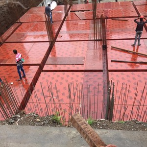 Contrachapado de 12mm India - Product Image 5