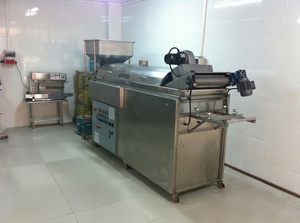 เครื่องทอดสแตนเลสแบบต่อเนื่อง / เครื่องทอดอาหารประเภทเม็ดมะม่วงหิมพานต์และข้าวโพด 900 กก./ชม. SUISER MAKINE - Product Image 5