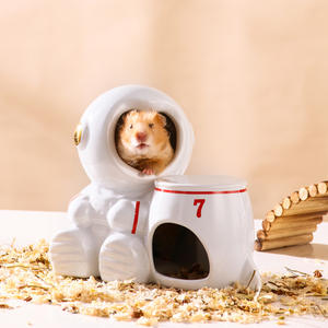 Escondite de Cerámica para Hámster con Diseño Original Personalizable con Temática Espacial - Product Image 6