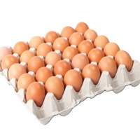 Œufs de poule fertiles à couver et œufs de table frais (bruns/blancs) avec jaunes d'œufs de caille
