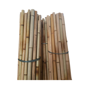 ไม้ไผ่ดิบเป็นมิตรต่อสิ่งแวดล้อมสำหรับไม้ไผ่ - Product Image 1