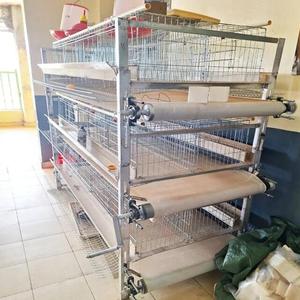 Jaulas <span class=keywords><strong>para</strong></span> Aves de Corral Tipo H con Cinta <span class=keywords><strong>Transportadora</strong></span> de Estiércol de PP con Grosor de 1.0mm/1.2mm - Product Image 3