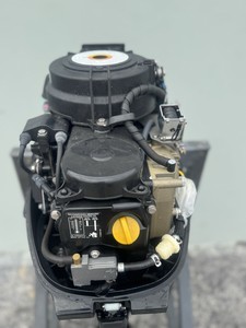 Moteur hors-bord MERC-URY 9.9HP PRO Kicker 4 temps modèle 2016 - Product Image 5