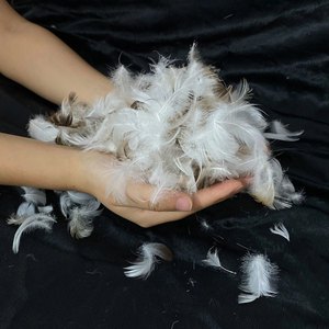 Plumas de pato teñidas lavadas de origen ético para Arte, accesorios de ropa para el hogar, seleccionadas a mano para colores brillantes, textura suave - Product Image 4