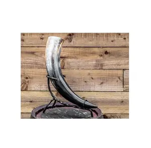 Buffalo drinking horn with iron and leather stand and natural product with polished bear drinking horn