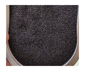 Graines de basilic séchées de qualité supérieure pour l'exportation en vrac Meilleur prix sur le marché - Product Image 1