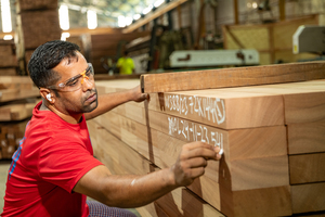 Tablas de Madera Maciza Ekop Beli en Oferta, Madera de Construcción Ecológica Resistente al Agua de Alta Calidad y Madera para Sauna - Product Image 5