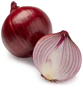 Idealer Artikel Freshl Red Small Onion Lieferant aus Indien New Crop Fresh Non-Peeled Top Selling Indische Schalotten Zwiebel Bestseller