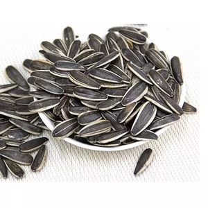 Graines de tournesol brutes / Graines de tournesol grillées/séchées pour la production d'huile de tournesol, vente en gros - Product Image 6