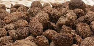 กระวานธรรมชาติจากเวียดนาม/แหล่งธรรมชาติ/แห้งสนิท/ส่งออกคุณภาพ - Product Image 6