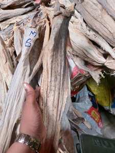 ปลาแช่แข็ง IQF อายุการเก็บรักษา 12 เดือน ราคาขายส่ง พร้อมจัดส่งรวดเร็วสำหรับร้านอาหาร โรงแรม และครัวเรือน - Product Image 3