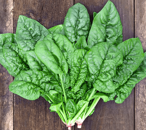 Épinards à feuille de catappa bio cueillis à la main Clean Label Supplément de soutien immunitaire à base de plantes - Product Image 1