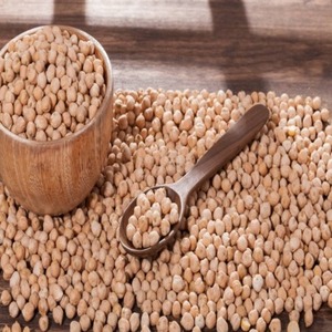 เมล็ดถั่วชิกพีคุณภาพสูง ชนิดเมล็ดแห้ง เกรด 1 - Product Image 1