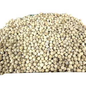 PIMIENTA BLANCA ENTERA DE VIETNAM PIMIENTA BLANCA CON EL MEJOR PRECIO y CERTIFICADOS COMPLETOS DE PROVEEDOR CONFIABLE + 84 35 9169566 - Product Image 4