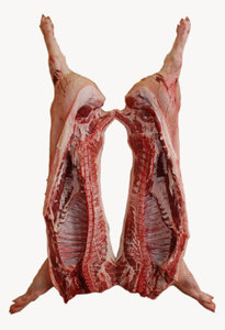 Viande de porc congelée de qualité/collier de taille de porc congelé/longe de porc désossée - Product Image 5