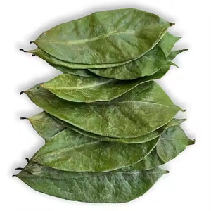 Hojas de Guanábana secas orgánicas de Source Nutrition-Graviola pura para hojas secas enteras de té - Product Image 1