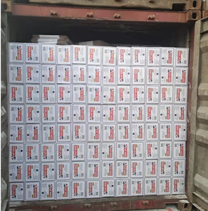 Combo de mejorador de <span class=keywords><strong>Levadura</strong></span> 2 en 1 a granel, reduce el costo de horneado, bolsas de 500g, caja de 10kg, etiqueta privada OEM - Product Image 5