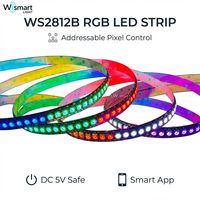 Tira de Luces LED RGB Direccionables WS2812B DC5V, 30/60/144 Píxeles Programables, Cinta de Píxeles IP20-IP68 Resistente al Agua para Iluminación de PC