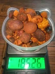 Cálculos biliares de calidad de exportación de ganado 100% naturales y cuidadosamente procesados para la venta - Product Image 6