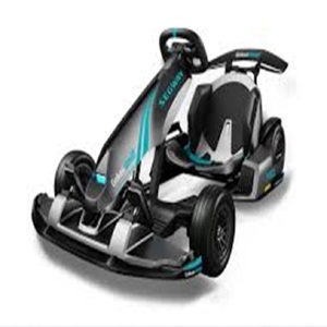 Ninebots PRO 2 Gokart คุณภาพดีที่สุด ปรับแต่งได้ รองรับ OEM - Product Image 2