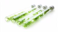 Tubos de Ensayo de Laboratorio de Borosilicato de Alta Claridad, Cristalería Duradera y Segura para Esterilización, para Uso Científico y Médico