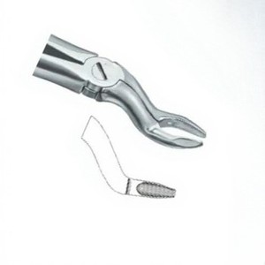 Pince à extraire les dents Fig67 N Meilleure qualité Logo personnalisé Produits Instruments dentaires en acier inoxydable - Product Image 4