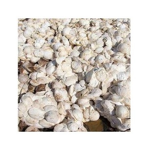 Mejor Precio, 100% Caucho Crudo en Trozos, Alta Calidad - Product Image 6