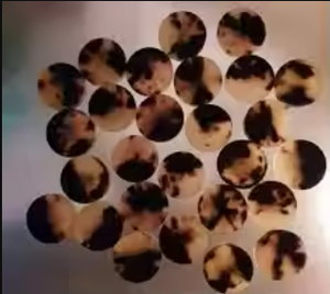 ปุ่มฮอร์นหลังแบนดีไซน์ดีที่สุดสำหรับกางเกงยีนส์และเสื้อผ้าเป็นมิตรกับสิ่งแวดล้อมออกแบบโลโก้ได้ตามต้องการผลิตในอินเดีย - Product Image 3