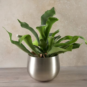 Pots et paniers de jardinière de jardin côtier faits à la main en métal écologique pour la décoration de bureau à domicile et de mariage - Product Image 1