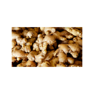 Jengibre para promover la circulación saludable y el flujo sanguíneo - Product Image 2