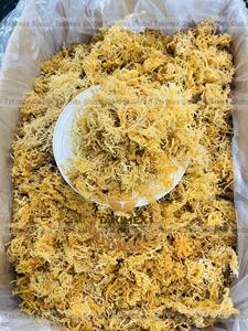 Musgo Irlandés Silvestre de Primera Calidad a Precio Competitivo, Musgo Marino Seco de Vietnam - Product Image 4