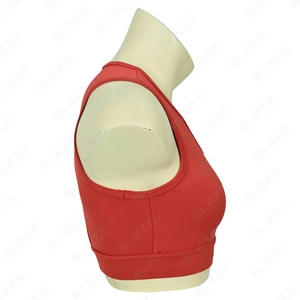 Soutien-gorge de sport grande taille personnalisable avec logo pour femme – Idéal pour le yoga, l'entraînement, le fitness et la gym – Qualité supérieure, maintien optimal à l'avant - Product Image 5